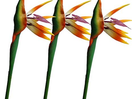 Product: Tropical Artificial Flowers