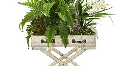 Product: Silk Fern Plants