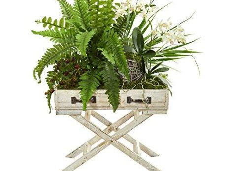 Product: Silk Fern Plants