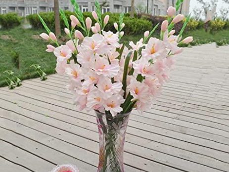 Product: Silk Gladiolus
