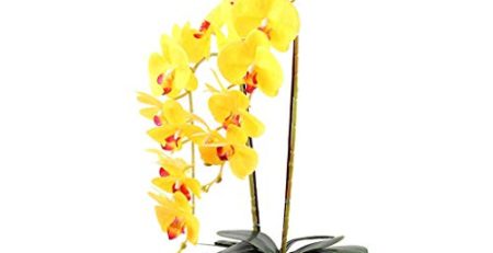 Product: Artificial Orchids That Look Real
