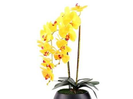 Product: Artificial Orchids That Look Real