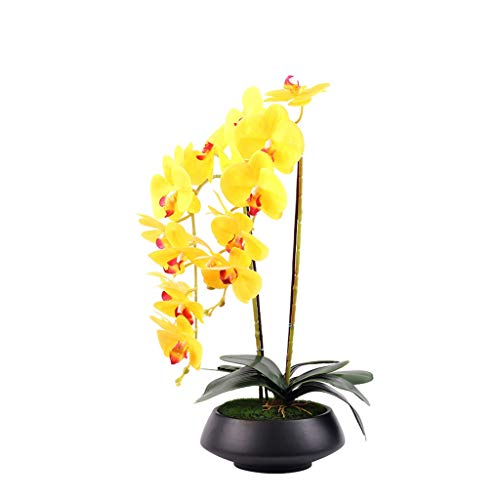 Product: Artificial Orchids That Look Real