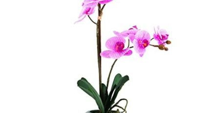 Product: Silk Orchid Arrangements