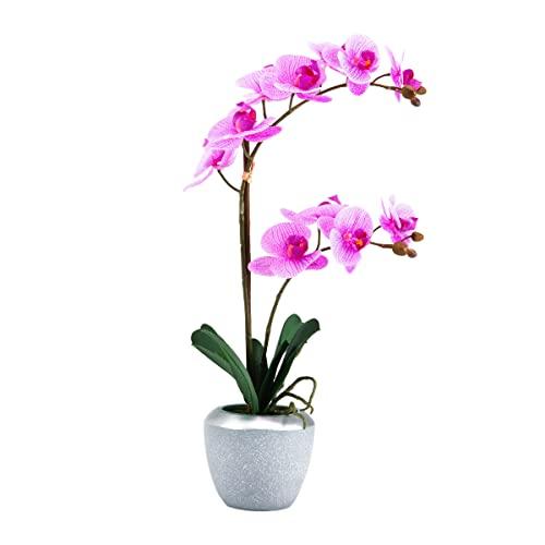 Product: Silk Orchid Arrangements