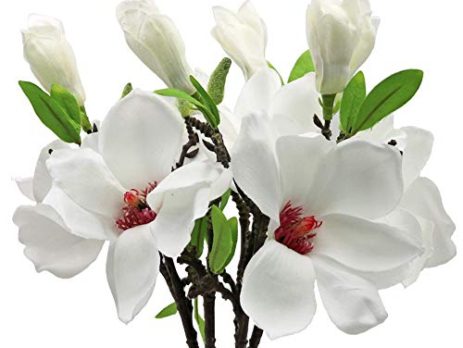 Product: Silk Magnolia