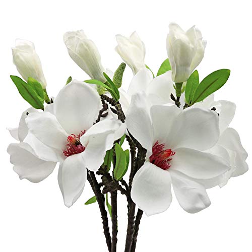 Product: Silk Magnolia