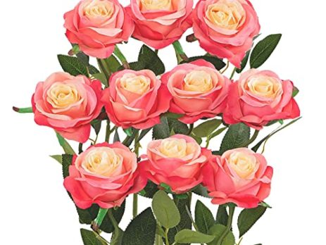Product: Fake Roses