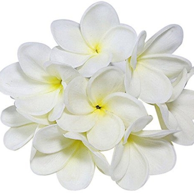 fake frangipani flowers