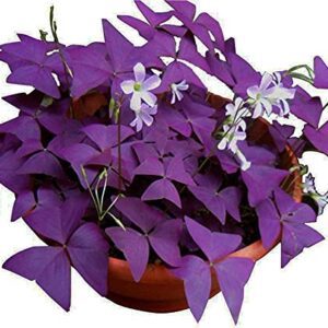 Product: Cheap Artificial Flowers