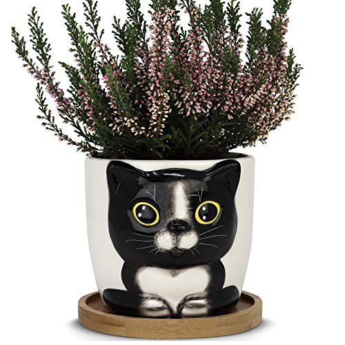 Window Garden Cat Planter – Large Kitty Pot for Indoor House Plants, Succulents, Flowers and Herbs – Cute Planters, Great Gift for Cat Lovers for Christmas, Thanksgiving, Housewarming (Oreo) Artificial Flower Arrangements