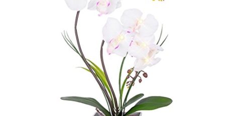 Product: Artificial Orchids – Realistic, Long-Lasting Faux Orchid Plants