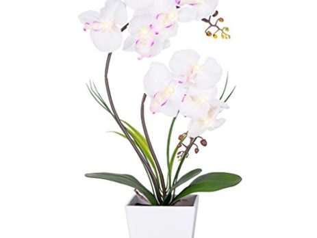 Product: Artificial Orchids – Realistic, Long-Lasting Faux Orchid Plants