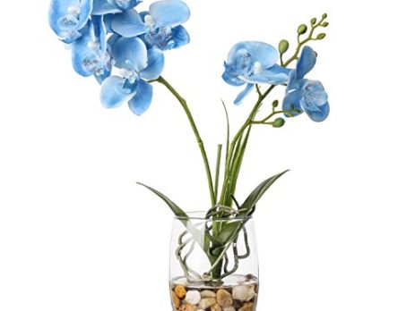 Product: Faux Orchids – Realistic Artificial Orchid Flowers for Elegant Home Décor
