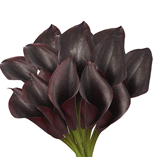 GlobalRose 10 Stems of Dark Purple Color Calla Lilies – Fresh Flowers for Delivery Silk Flowers