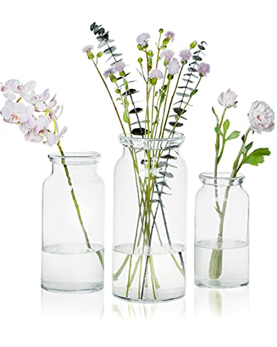 CASAMOTION Glass Vase for Flowers Hand Blown Glass Centerpiece Modern Farmhouse Room Decor Home Kitchen Clear Cylinder 8” 10” 12” Inch Set of 3 Artificial Flower Arrangements