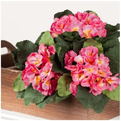 Silk African Violets