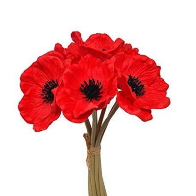 Artificial Anemone