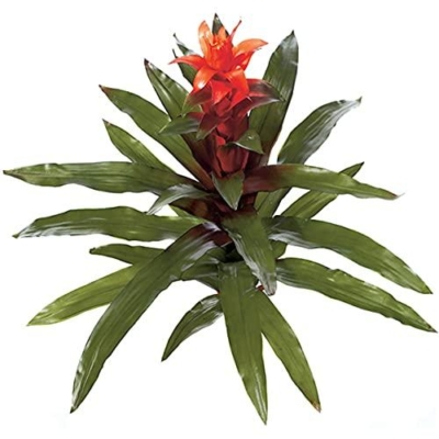 Artificial Bromeliad