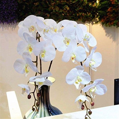 Artificial Orchids