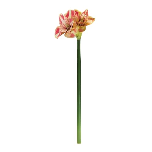 Silky Flower Store Artificial Amaryllis Flower Stem Set of 2, Yellow Pink Faux Floral Decor, Indoor Seasonal Accent 20.5cm 3 3 Product: Melrose International Amaryllis Flower Stem (Set of 2)