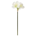 Product: VINTERFINT artificial flower, 60 cm, in/outdoor/Amaryllis white
