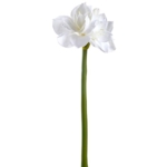 Product: SilksAreForever 27" Artificial Amaryllis Flower Stem -White (Pack of 12)