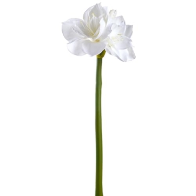 Product: SilksAreForever 27" Artificial Amaryllis Flower Stem -White (Pack of 12)