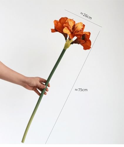 Product: FJELLROSE Artificial Greenery for decorat, 5 Branchs 29.5"(Overall Length) Huge Silk Amaryllis Artificial Faux Flower，Minimalist Style Artificial Faux Flower,for Home Decor Flower,Gifts(Blue)