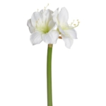 Product: SilksAreForever 27" Faux Amaryllis Flower Stem -Cream (Pack of 6)