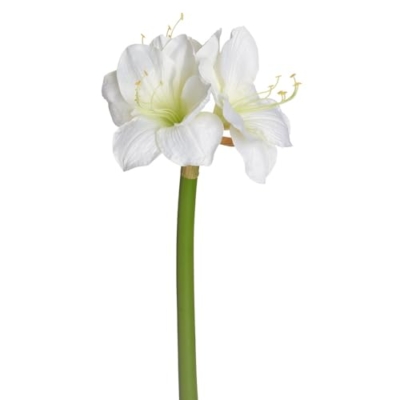 Product: SilksAreForever 27" Faux Amaryllis Flower Stem -Cream (Pack of 6)