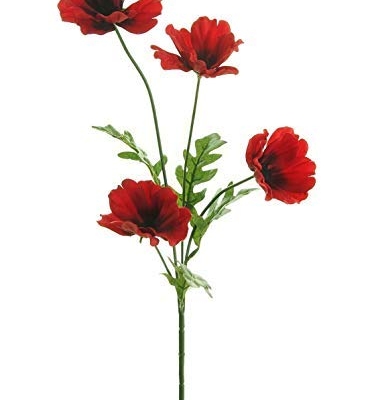 Silky Flower Store Artificial Red Poppy Stems, 10 Pack Wild Flowers with Leaves, 4 Heads Each, 45cm 13 13 Product: 10 x Red Poppy Stems 45cm Artificial Flowers 4 Flower Heads per Stem Wild Red Poppies with Leaves