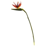 Product: Nearly Natural 38 in. Large Bird of Paradise Artificial (Set of 4) Silk Flowers, 1x9x38, Orange