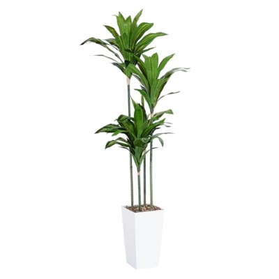 Product: Artificial Dracaena Tree, 5FT Faux Tree with White Tall Planter, Fake Dracaena Plants Tropical Yucca Floor Plant in Pot, Artificial Silk Tree for Home Decor Office Living Room Indoor Housewarming Gift
