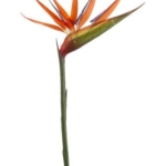 Product: 12 Pieces of 36" Bird of Paradise Artificial Bendable Flower Sprays