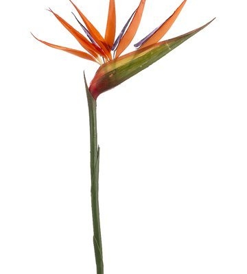 Product: 12 Pieces of 36" Bird of Paradise Artificial Bendable Flower Sprays