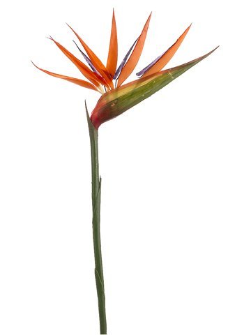 12 Pieces of 36" Bird of Paradise Artificial Bendable Flower Sprays - Artificial Flower Arrangements Product: 12 Pieces of 36" Bird of Paradise Artificial Bendable Flower Sprays