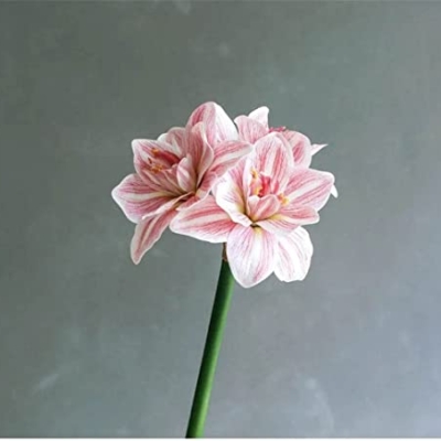 Product: DCYEQRQ Artificial Flowers,Spring Decorations, Artificial Amaryllis FlowerHome Table Wedding Decoration PU Fake Flowers
