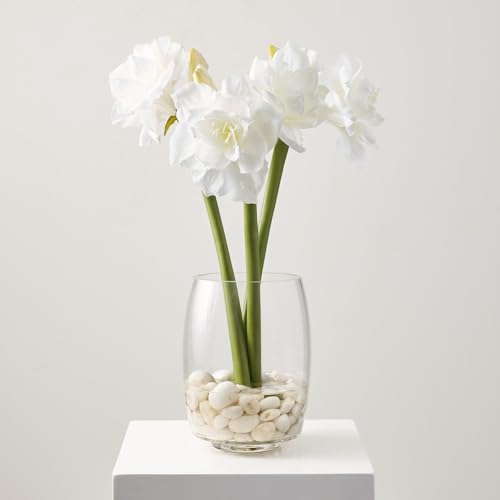 Silky Flower Store White Amaryllis Artificial Baby Breath Flowers, River Stones Vase Winter Home Decor, Office Ambience 32.5cm 4 4 Product: Delicate White Amaryllis & Artificial Baby Breath Flowers with Natural River Stones for Tranquil Winter Home Decor & Office Ambience