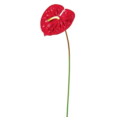 Product: 24" Silk Anthurium Flower Spray -Red (pack of 12)