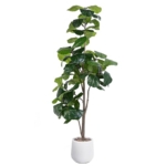Product: Jocoevol Artificial Fiddle Leaf Tree, 6ft Faux Plant Fake Ficus Lyrata Trees with White Planter, Artificial Fig Trees Floor Plants for House Office Living Room Indoor Home Decor, Housewarming Gift