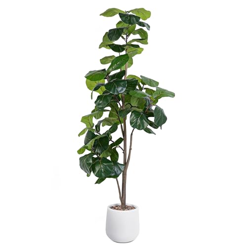 Product: Jocoevol Artificial Fiddle Leaf Tree, 6ft Faux Plant Fake Ficus Lyrata Trees with White Planter, Artificial Fig Trees Floor Plants for House Office Living Room Indoor Home Decor, Housewarming Gift
