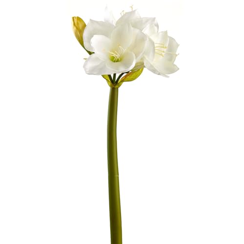 26" Silk Amaryllis Flower Stem -White (Pack of 12) - Artificial Flower Arrangements Product: 26" Silk Amaryllis Flower Stem -White (Pack of 12)
