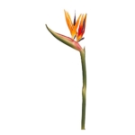 Product: 37" Bird of Paradise Spray x2 Orange Yellow (Pack of 6)