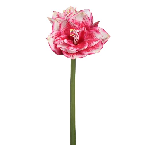 26" Real Touch Silk Amaryllis Flower Stem -Fuchsia/Cream (Pack of 12) - Artificial Flower Arrangements Product: 26" Real Touch Silk Amaryllis Flower Stem -Fuchsia/Cream (Pack of 12)