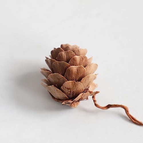 Product: UV Resistant 3ft Artificial Cedar Topiary Trees Faux Cedar Bush with Pine Cone Indoor&Outdoor use for Garden Decor(Set of 2)