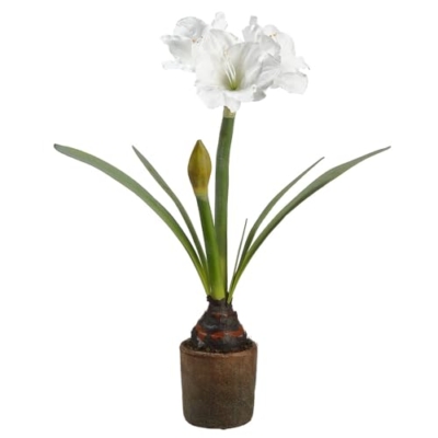 Product: 27.5" Silk Amaryllis with Bulb Flower Arrangement w/Cement Pot -White (Pack of 2)