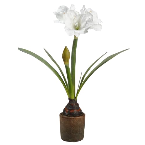 27.5" Silk Amaryllis with Bulb Flower Arrangement w/Cement Pot -White (Pack of 2) - Artificial Flower Arrangements Product: 27.5" Silk Amaryllis with Bulb Flower Arrangement w/Cement Pot -White (Pack of 2)