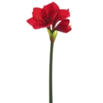 Product: 26" Amaryllis Silk Flower Stem -Red (Pack of 12)