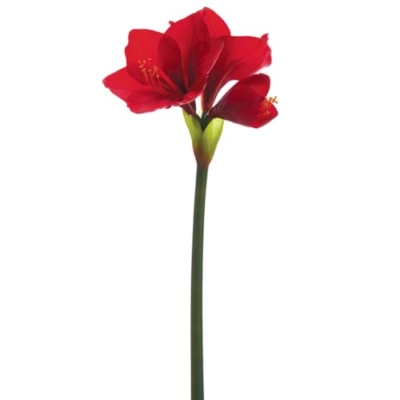 Product: 26" Amaryllis Silk Flower Stem -Red (Pack of 12)